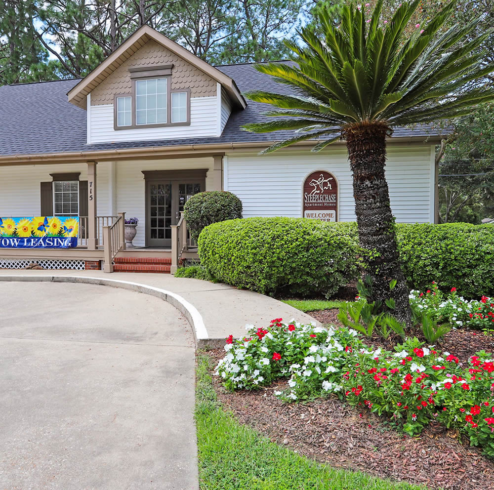 Plenty of Activities